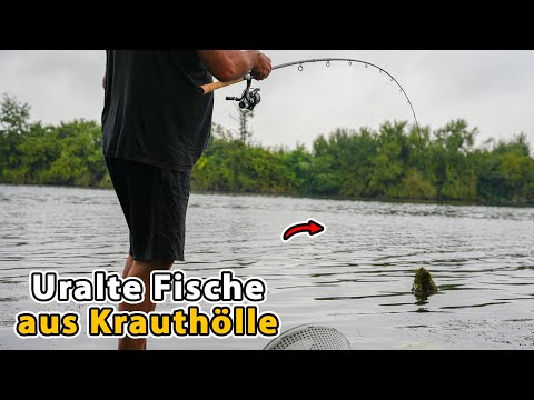 Angler discovers most intense fishing method for tench and eel!