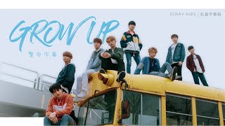 Download lagu ｜社畜中字｜Stray Kids - Grow Up (SKZ2020)｜ mp3