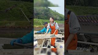 秋田県男鹿半島へ田植え体験ツアーに行ってきたよ🥰🫶🏼