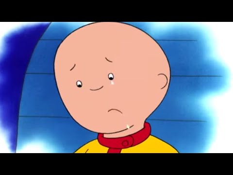 Caillou 214 - Three's a Crowd / Get Well Soon / Shadow Play / A New Member of the Family