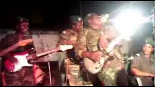 Les amazones de guinée