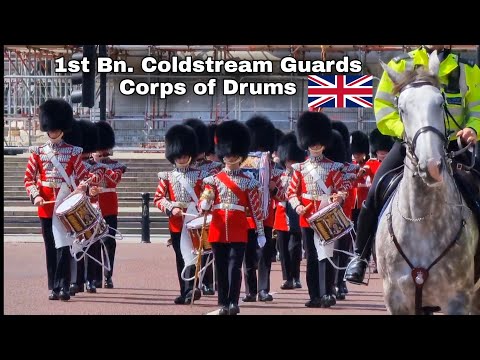 "Changing of the Guard" 1st Battalion Coldstream Guard Corps of Drums, London 24/04/22
