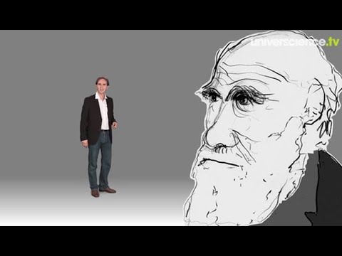 Charles Robert Darwin : L'évolution de l'espèce, la sélection naturelle