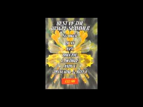 jungle slammer best of 96 dj principle & rizla