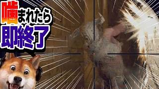 噛まれたら即終了 バイオハザードRE:4 / part399