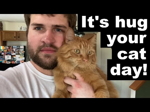 It's National Hug Your Cat Day!