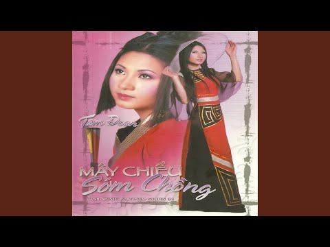 Tình đắng lý khổ qua - Tâm Đoan