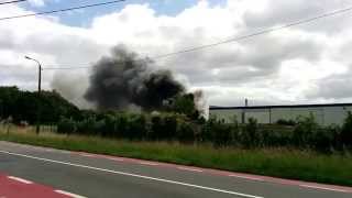 Lotus on fire, Belgium, Meise