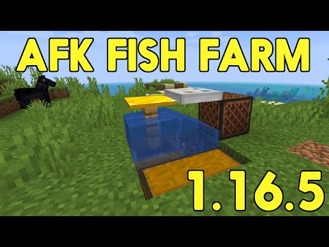 How To Make An AFK Fish/XP Farm | Minecraft 1.16.5 Tutorial