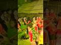 Jaan Mare Maroon Colour Sariya 🫶 Yshorts Tending Love Song Cute