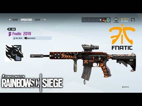 Fnatic Weapon Skin - Rainbow Six Siege