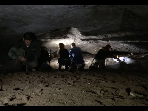 Mensajes extraterrestres en cueva mexicana (PARTE 1) | Noticias con Francisco Zea