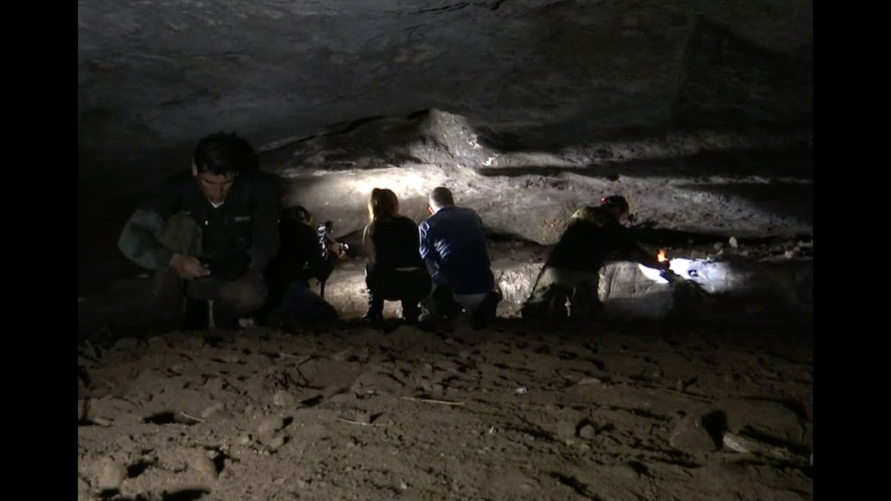 Mensajes extraterrestres en cueva mexicana (PARTE 1) | Noticias con Francisco Zea