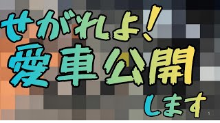 【子育てVLOG】せがれよ！やっと買いました、新車を公開します