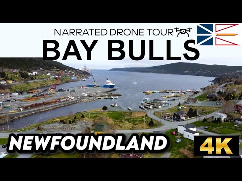 🛸🌊 Stunning 4K Drone Footage Over Bay Bulls, Newfoundland | Aerial Views 🎥🇨🇦