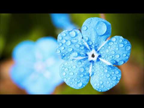 9 hours rain sounds, wind chimes sounds for deep sleep, relaxing sounds