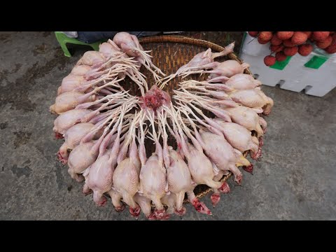 Walk Around Street Market in Kilometers 7 - Morning Daily Life Style of Khmer Muslim Selling Food