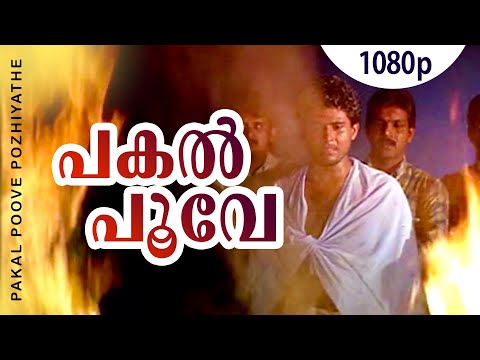 Pakal Poove Pozhiyathe | 1080p | Chronic Bachelor | Lalu Alex | Sabitha Anand| Mohan Ayiroor | Biyon