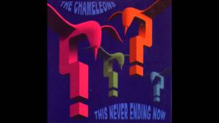 The Chameleons - View From A Hill (acoustic version)