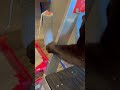 Silly black cat wants to paint and grabs roller #shorts