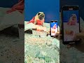 Birthday Celebration Birthday Photography Cake Dress Shorts Trending Viral