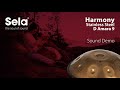 Sela 202 Harmony Handpan D Amara Acier Inoxydable thumbnail 12