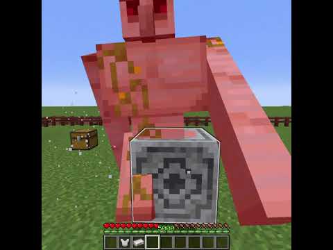 Cursed Lodestone Thing in Minecraft