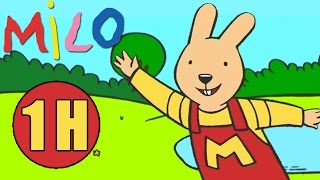 1 Heure d'épisodes de Milo le Lapin ✿ Mega compilation
