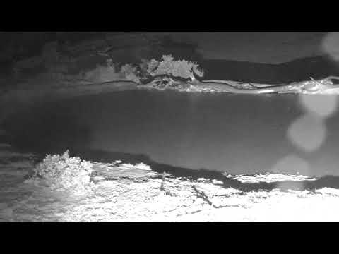 Djuma: Light rains during the Djuma night - 23:40 - 01/02/19