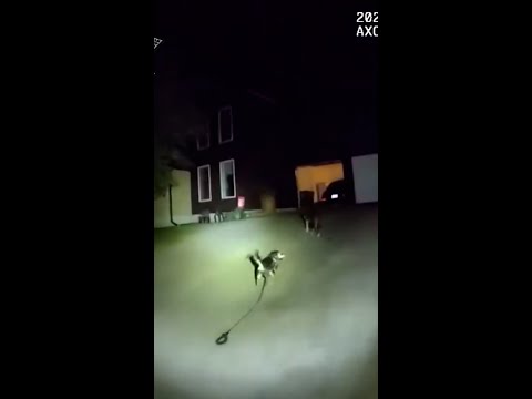 Kansas dog leads police officer to injured owner