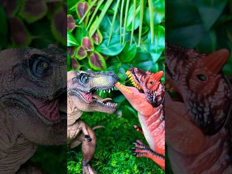 T Rex Vs Carnotaurus Roar #dinosaurs