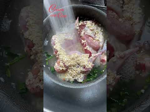 Sopa casera para perros