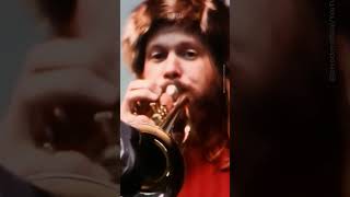 Joe Cocker’s Electric Rendition of “The Letter”