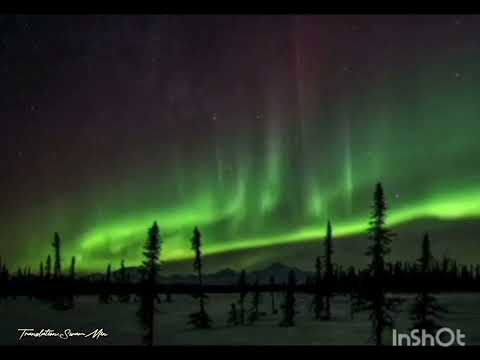 The blind boy မျက်မမြင်ကောင်လေး grade-10 poem