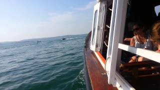preview picture of video 'Torquay-Brixham ferry trip'