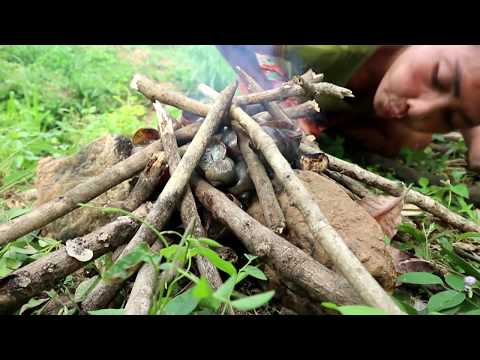 Survival skills: Catch snails in water flow & Grilled for food - Cooking snails eating delicious Video
