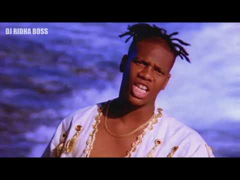 Reel 2 Real feat. Mad Stuntman - Can you feel it- (Factory Team Ragga Mix)