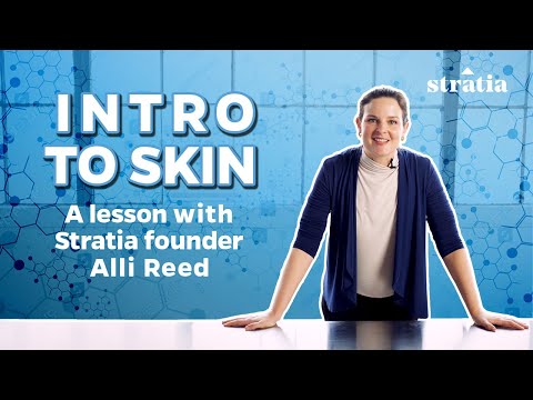 Intro To Skin | Stratia