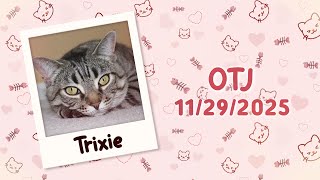 Trixie is OTJ! ♡ 11/29/2025