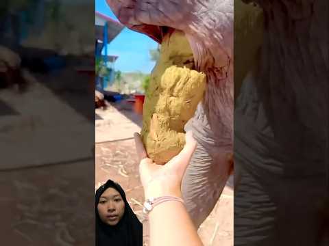 E€k g4jah‼️ #trending #trendingshorts #trendingvideo #shorts #shortsviral #viralshorts #fyp #shorts