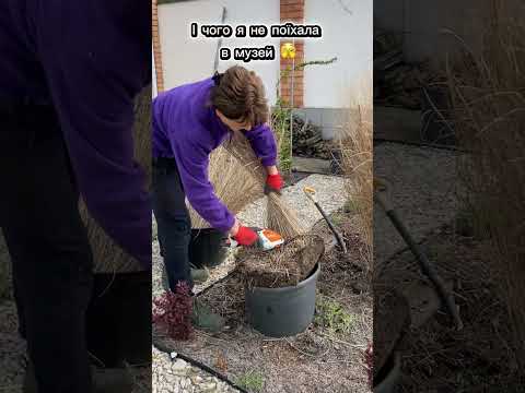 Чому я не поїхала в музей 🫣?