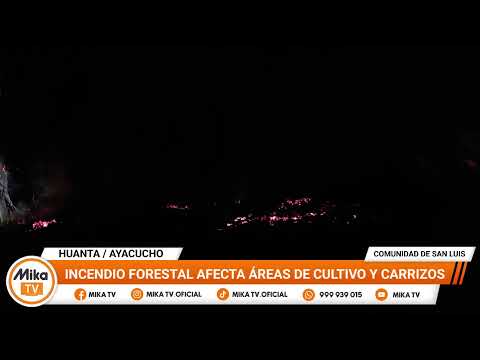 🟠🟡  EN HUANTA / AYACUCHO || INCENDIO FORESTAL AFECTA ÁREAS DE CULTIVO Y CARRIZOS