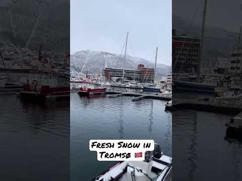 Fresh Snow in Tromsø, Norway 🇳🇴