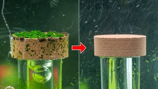 五分鐘清洗 CO2 細化器 | how to clean co2 diffuser