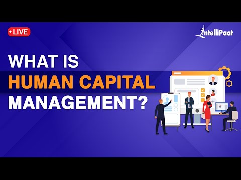 Human Capital Management For Beginners What is Human Capital Management HCM Explained