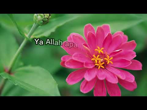 Shahir - Aku yang berdosa lirik.