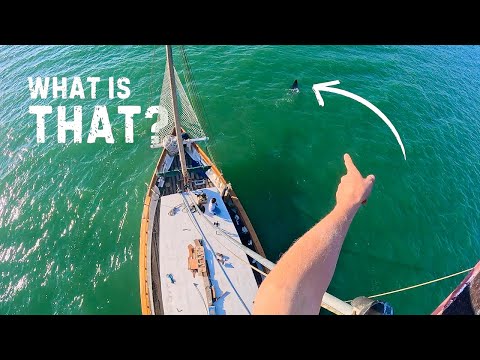 Restoring our sailboat's RIGGING: Backstay fix & Mast varnish with FPV Footage — Sailing Yabá 214