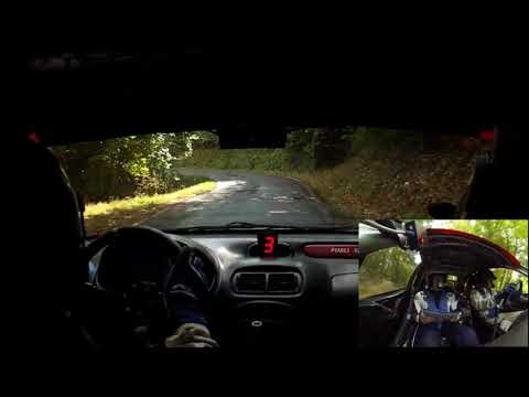 29° Rally Raab 2017 " Il Medico" & Bertolini Daniele ps 3 castel di Casio 15 esimo tempo assoluto