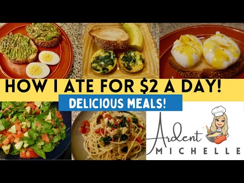 , title : 'HOW TO EAT DELICIOUS FOOD FOR $2 A DAY! | EXTREME GROCERY BUDGET CHALLENGE'