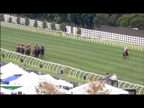 The Quarterback by Street Boss wins the G1 Newmarket Handicap at Flemington